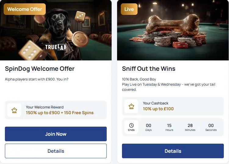 Bonuses and Promotions at SpinDog